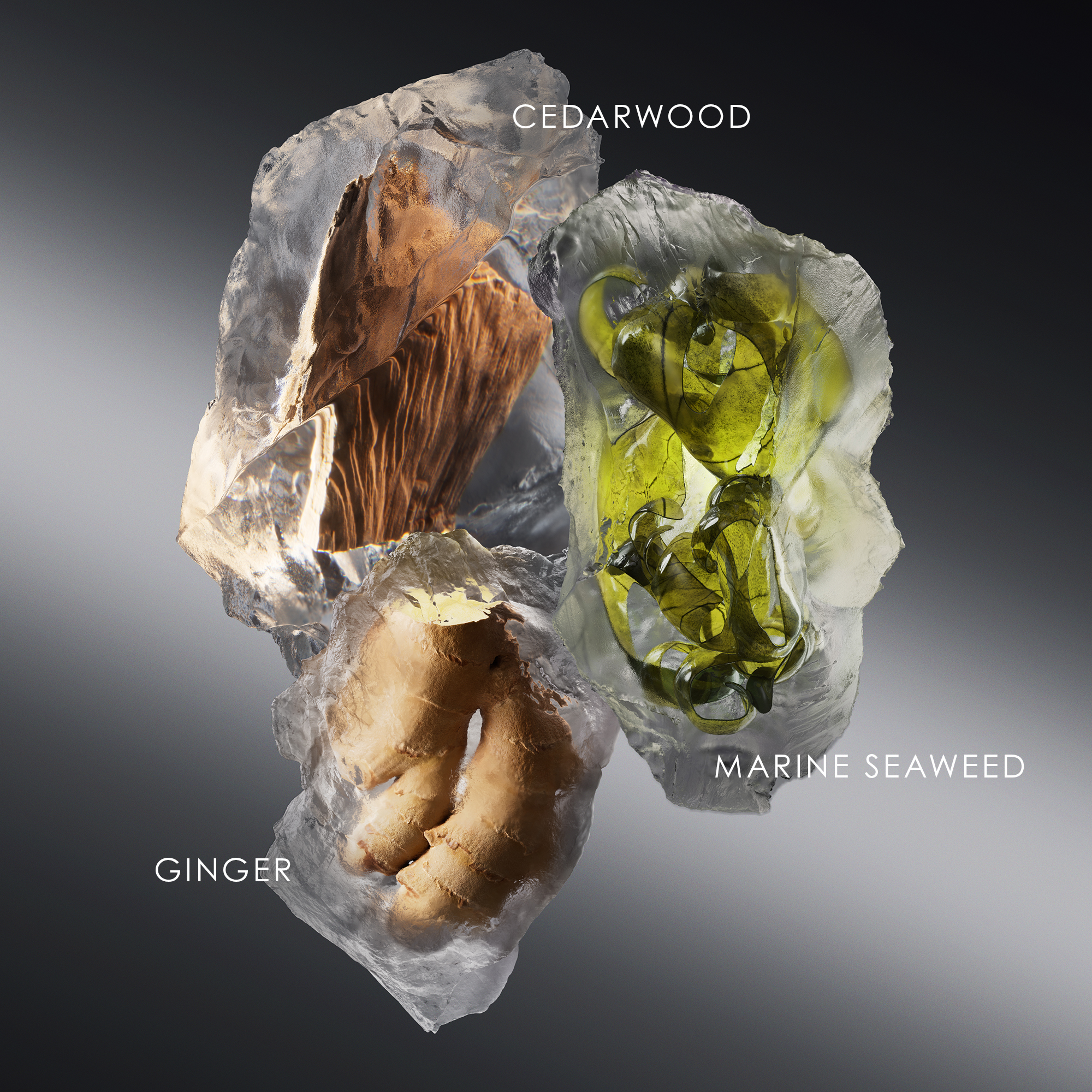 Issey Miyake Le Sel d'Issey Eau de Toilette (EdT) Refill