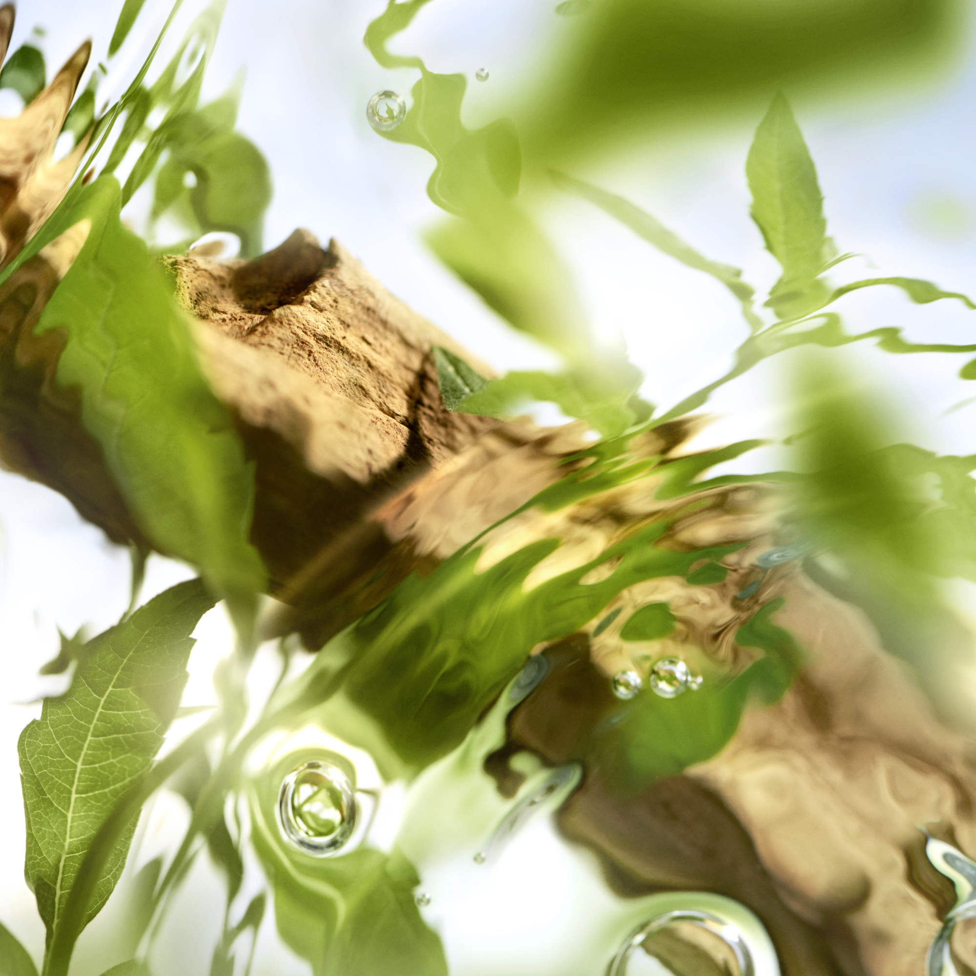 Lancôme Les Ô Ôff Now Eau de Toilette (EdT)