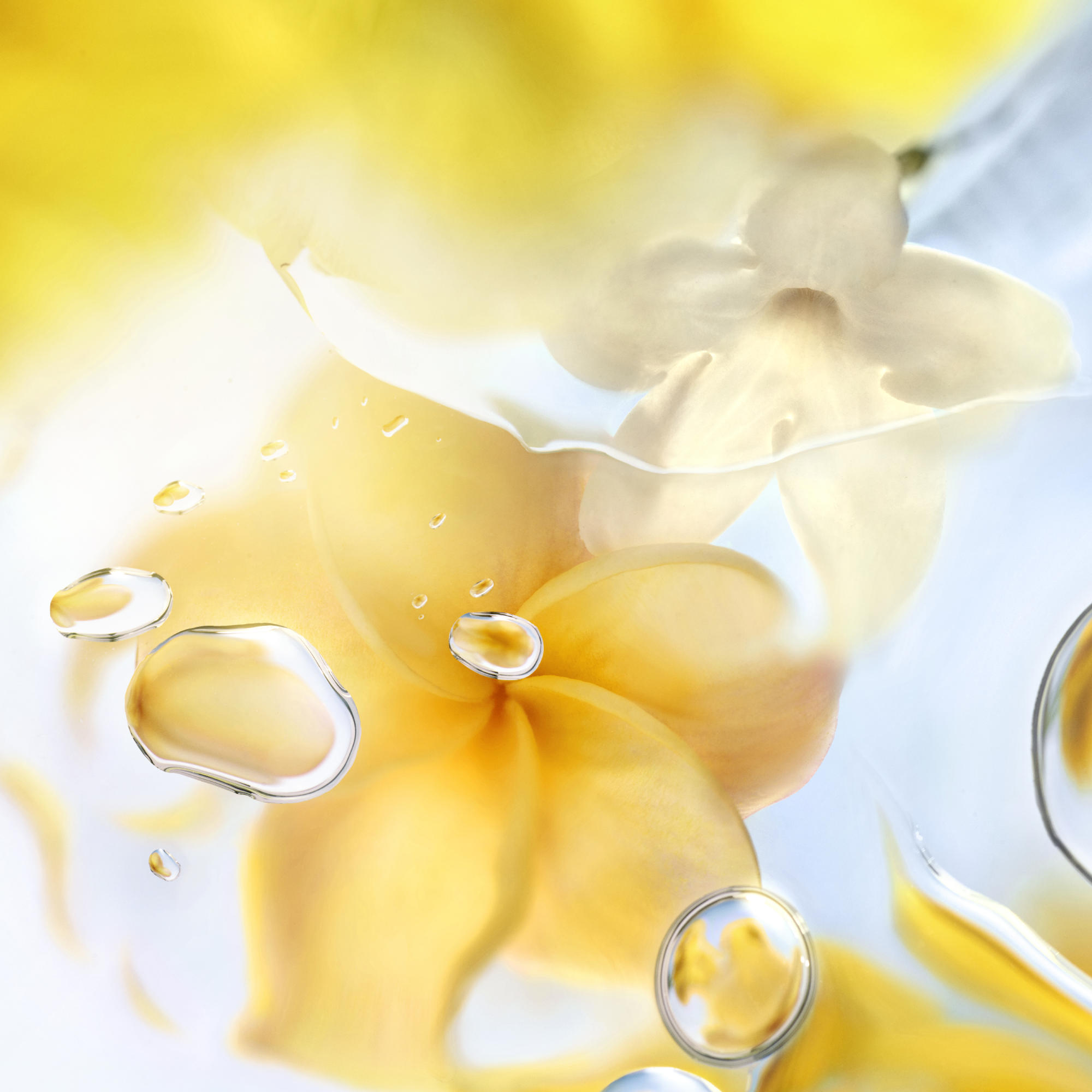 Lancôme Les Ô Ô Zenith Eau de Toilette (EdT)