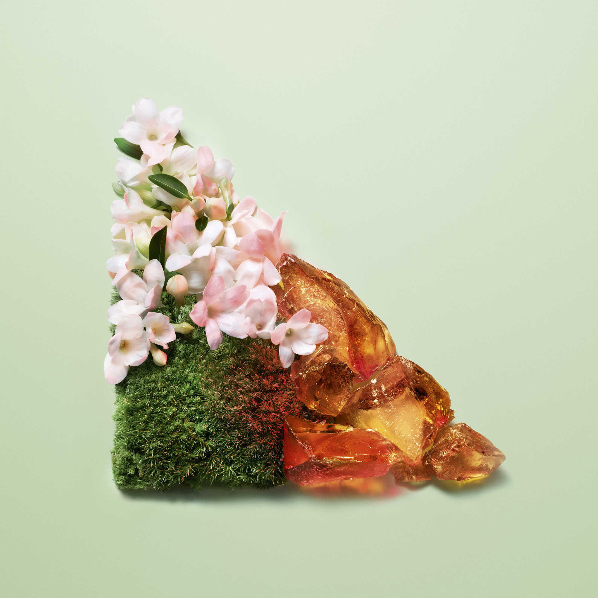 Prada Paradoxe Intense Eau de Parfum (EdP) - nachfüllbar Prada Paradoxe Intense Eau de Parfum (EdP) - nachfüllbar