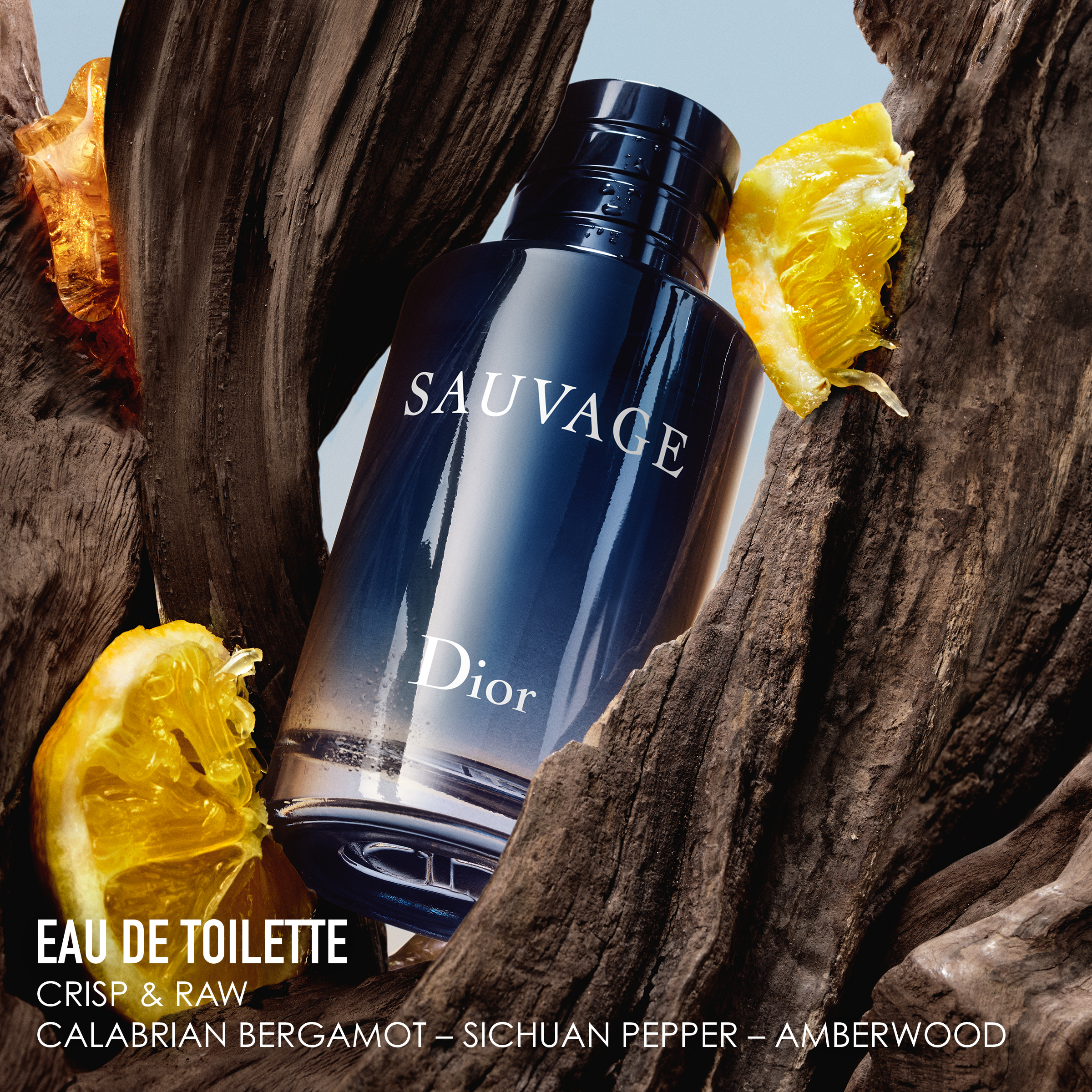 DIOR SAUVAGE Eau de Toilette (EdT)