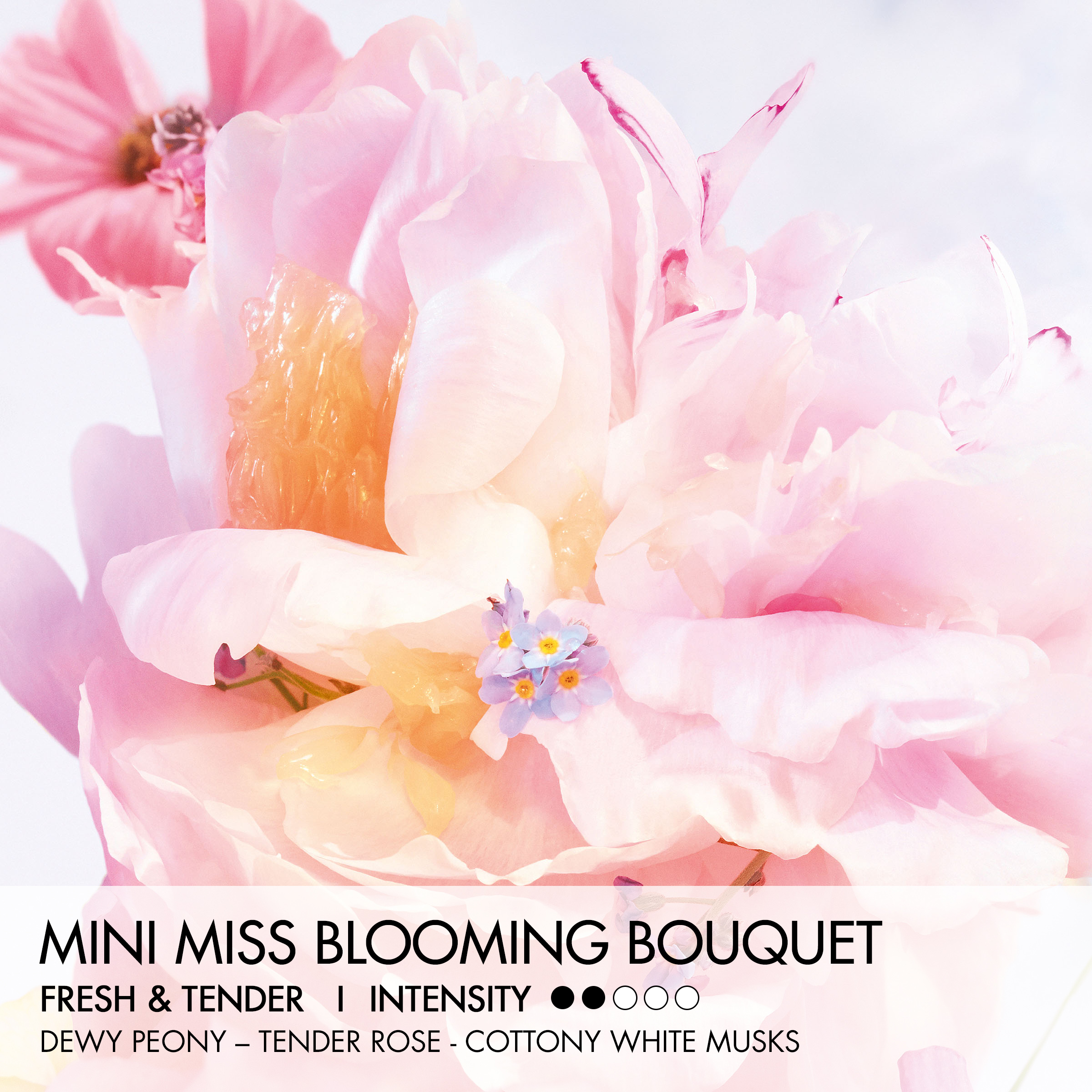 DIOR MISS DIOR BLOOMING BOUQUET Mini Miss Parfum-Stick