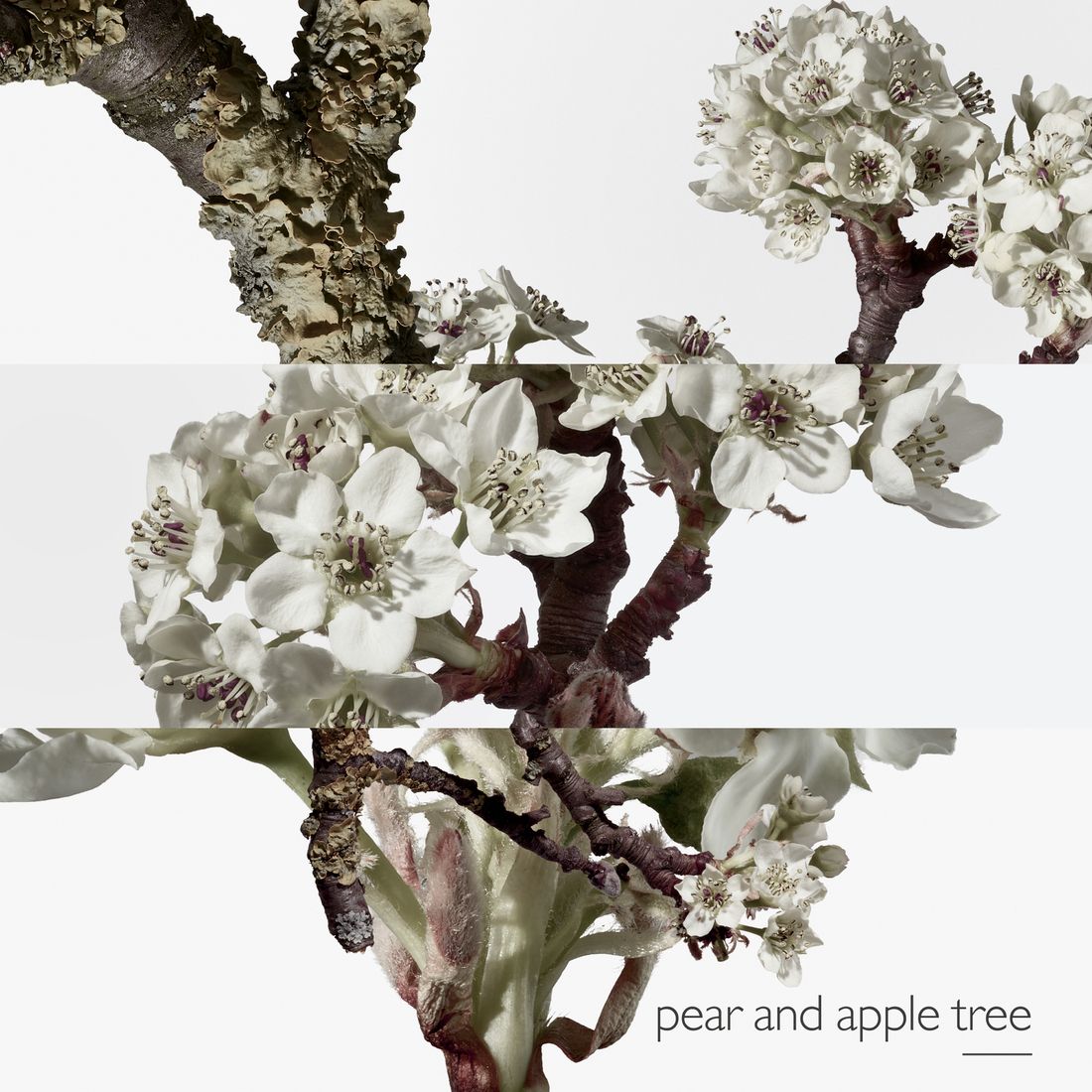 HERMÈS UN JARDIN SUR LE TOIT EAU DE TOILETTE