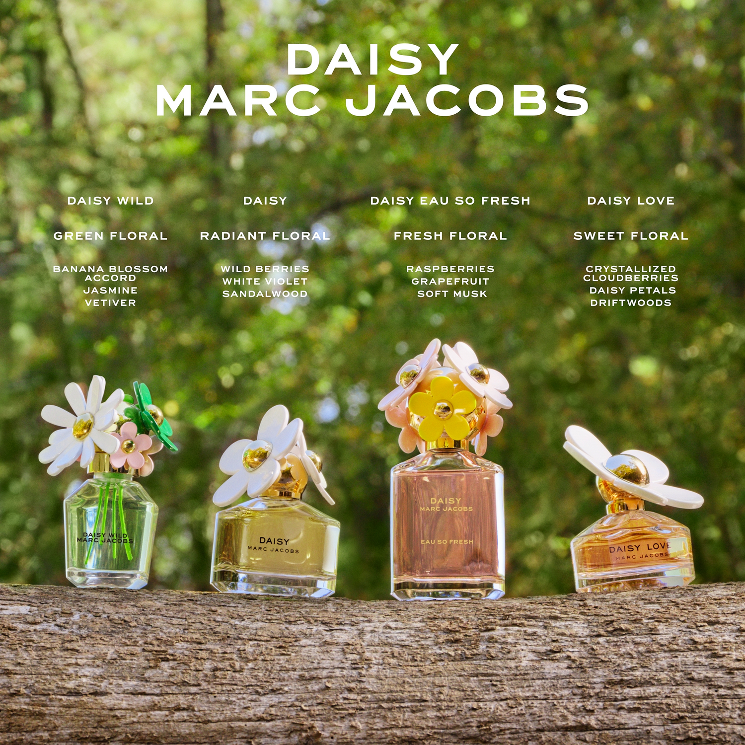 Marc Jacobs Daisy Wild Eau de Parfum (EdP) refillable Marc Jacobs Daisy Wild Eau de Parfum (EdP) refillable