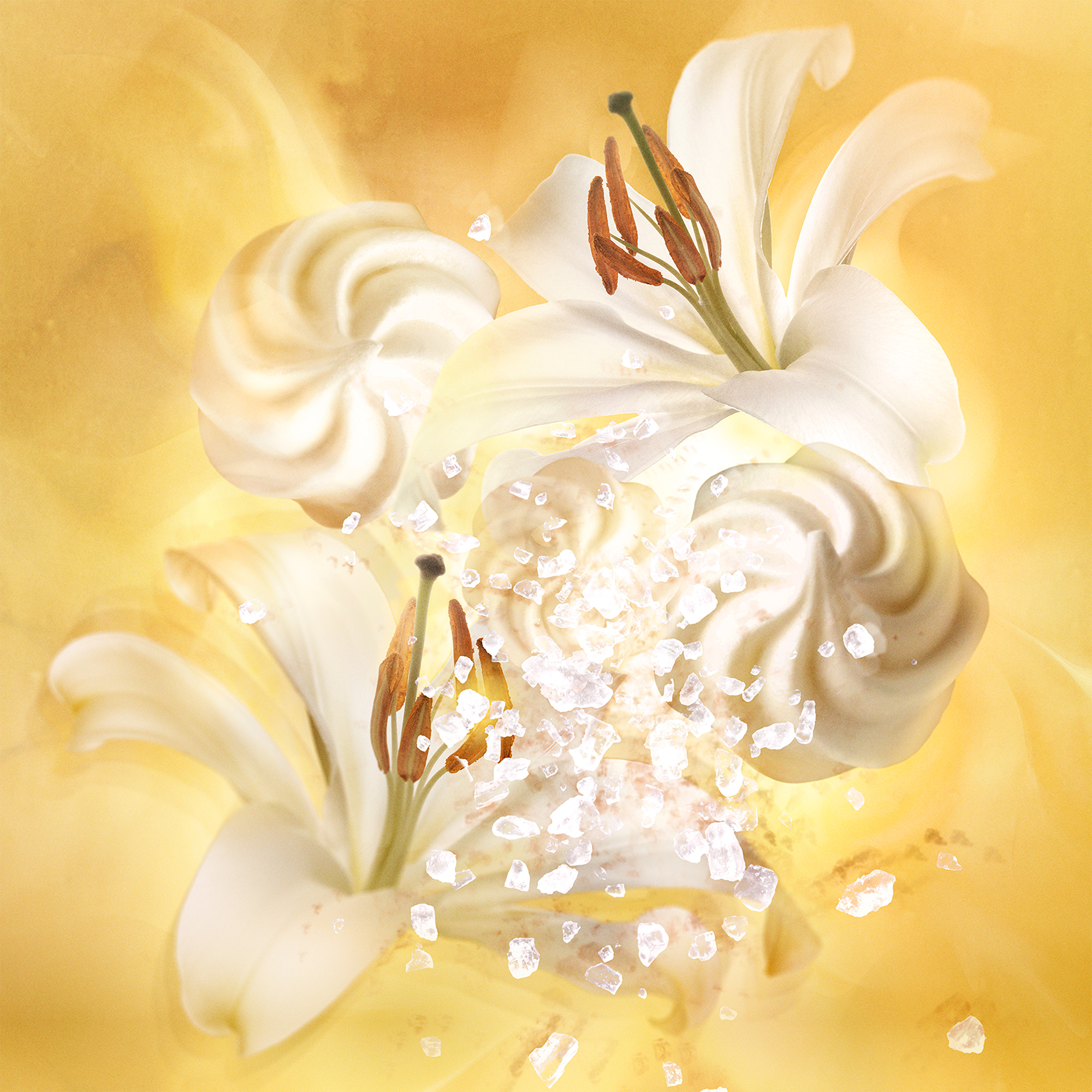 Jean Paul Gaultier Gaultier Divine Eau de Parfum (EdP)