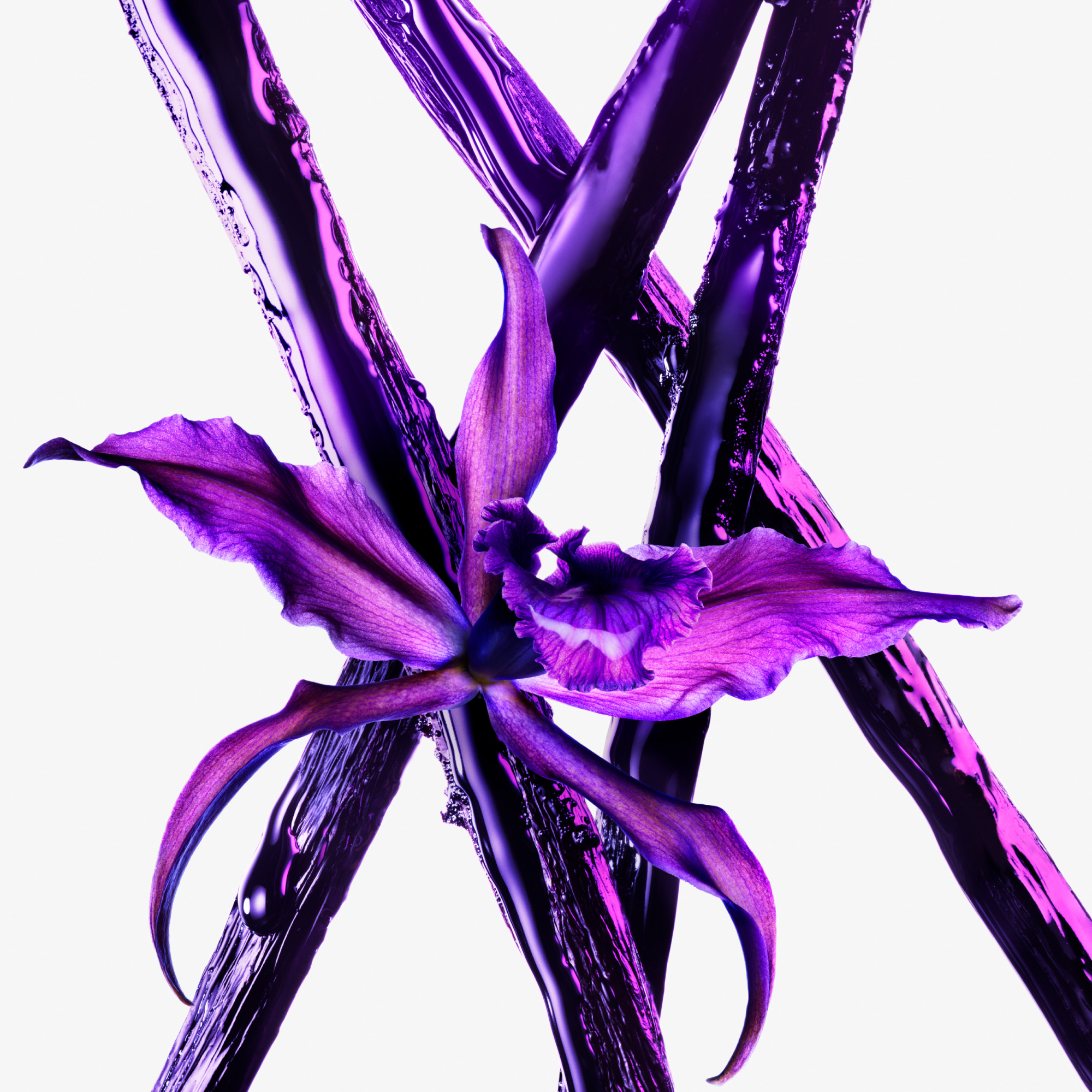 Mugler Alien Extraintense Eau de Parfum (EdP)