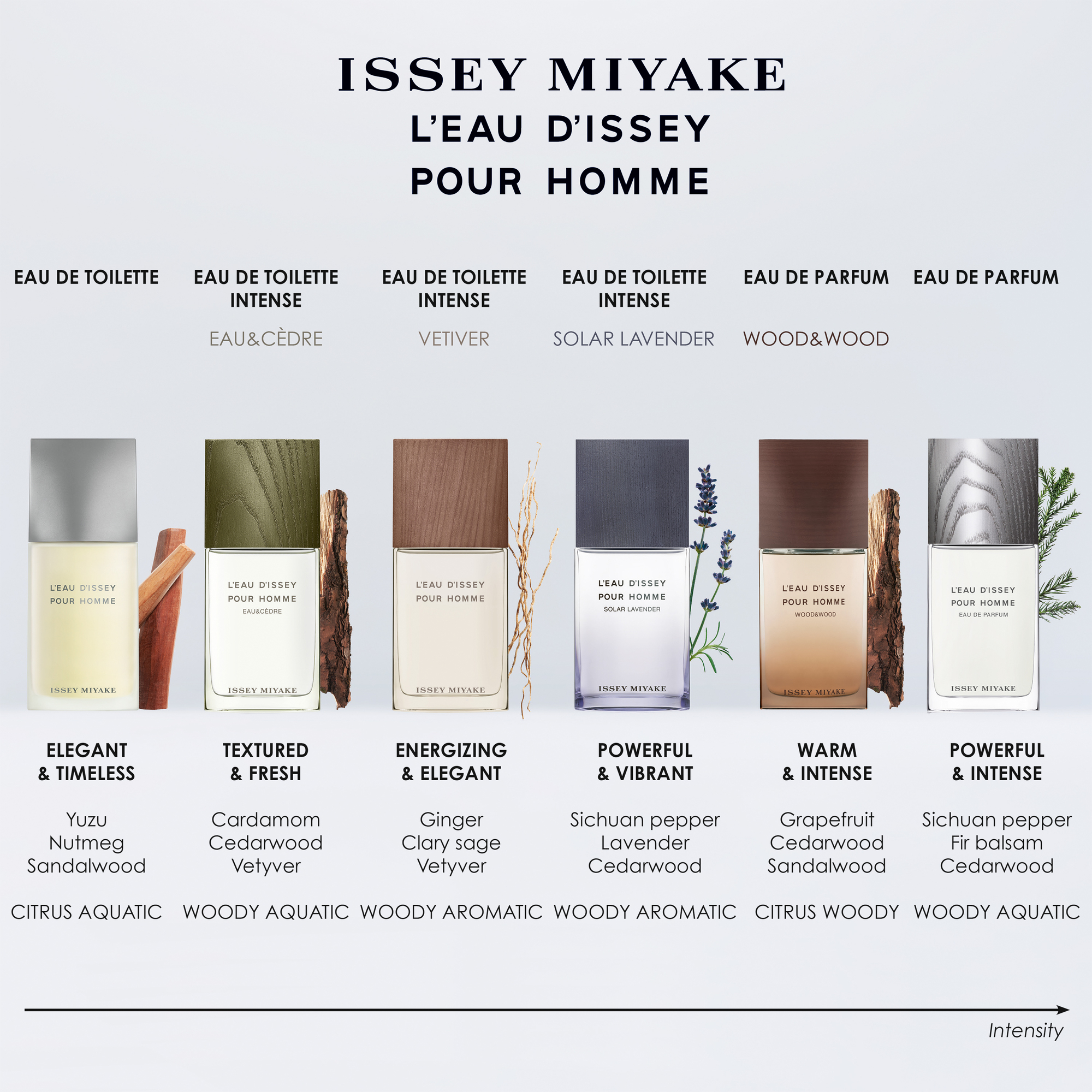Issey Miyake L'Eau d'Issey pour Homme Eau de Parfum (EdP)