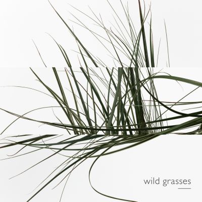 HERMÈS UN JARDIN SUR LE TOIT EAU DE TOILETTE