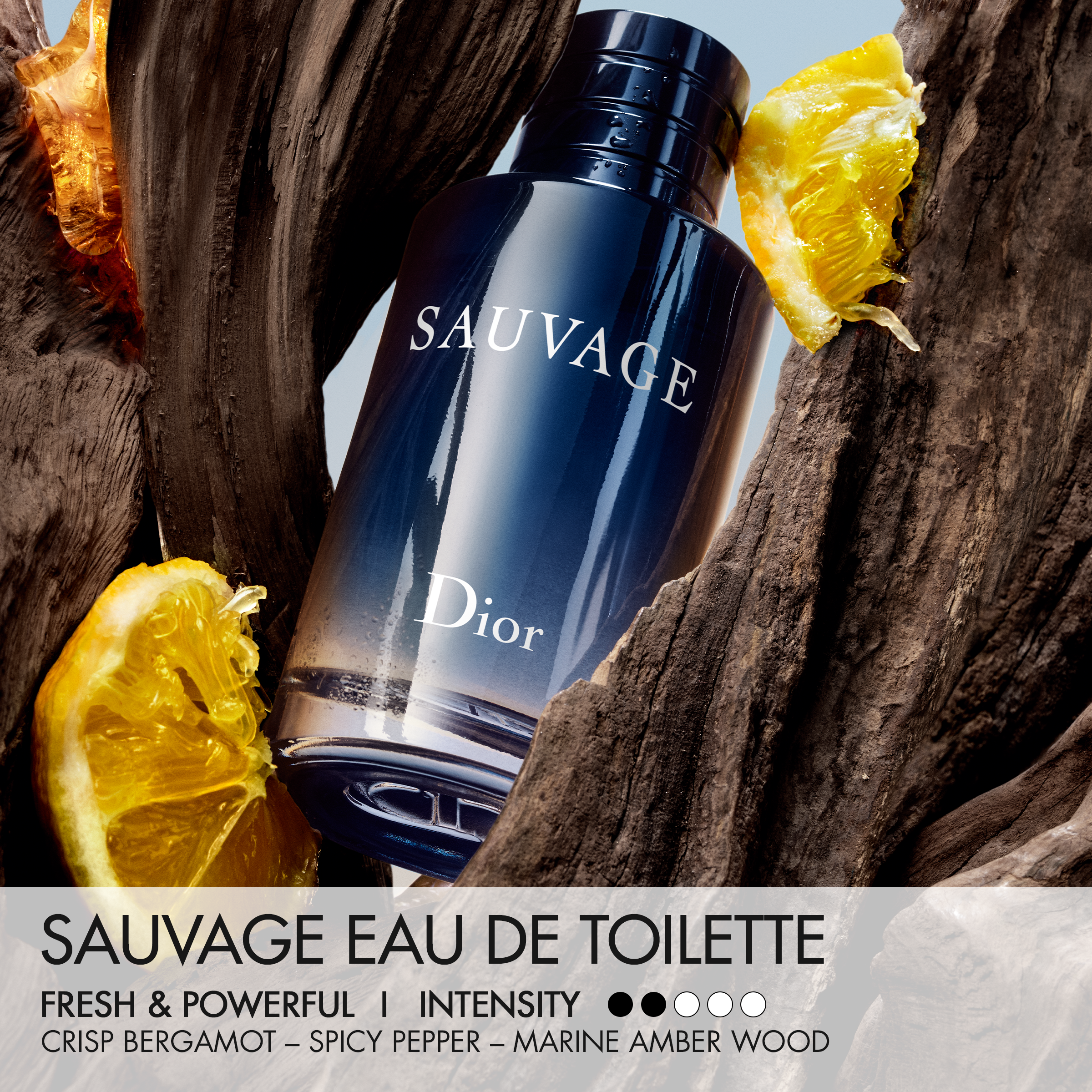 DIOR SAUVAGE Eau de Toilette (EdT)
