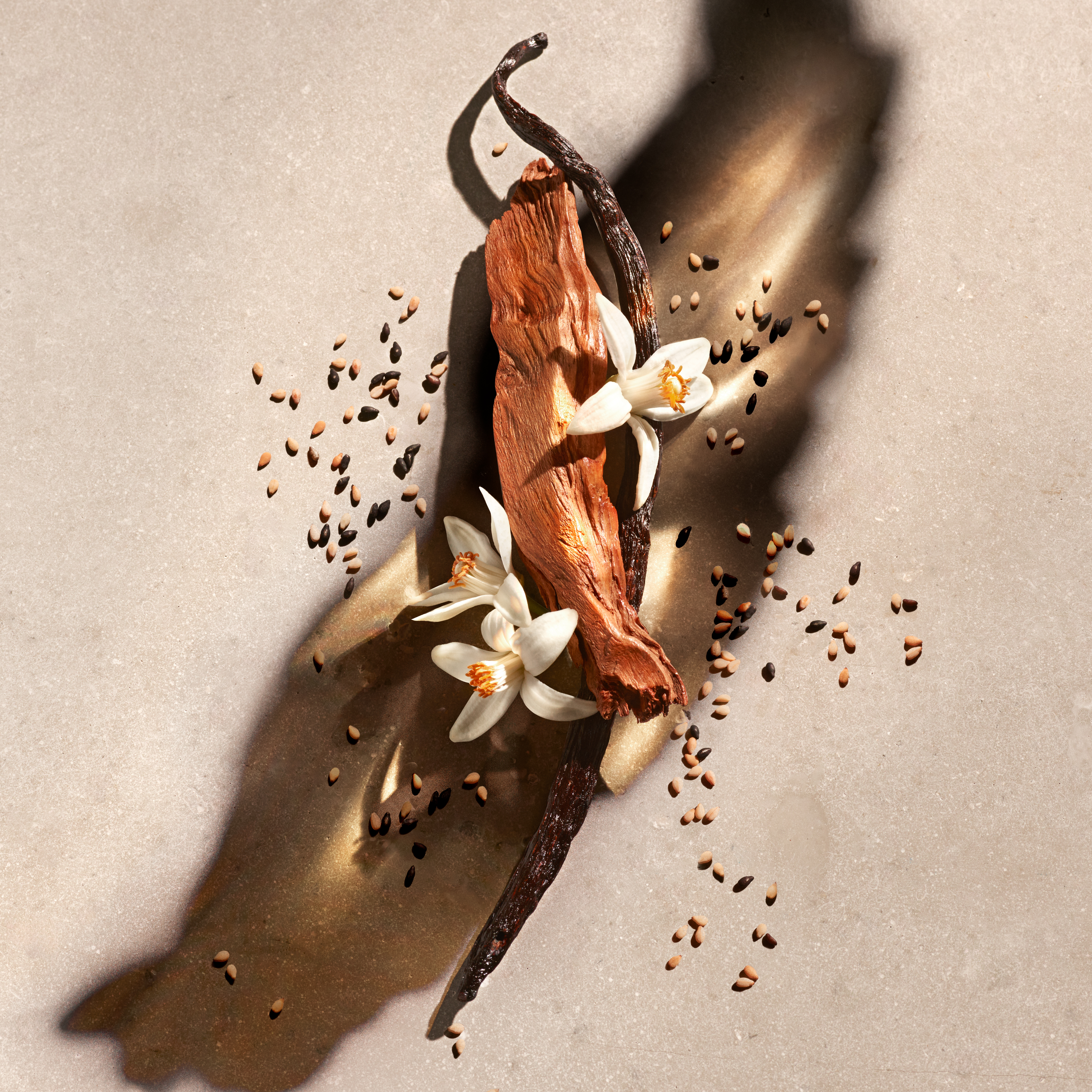 Zadig & Voltaire Zadig Shower Gel