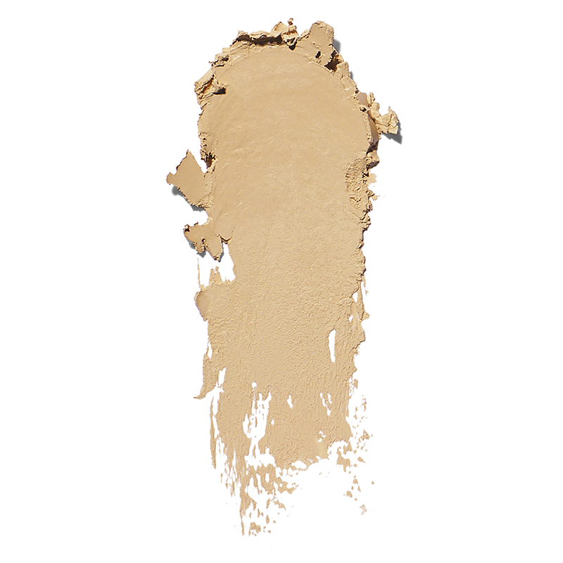 Bobbi Brown Face Skin Foundation Stick