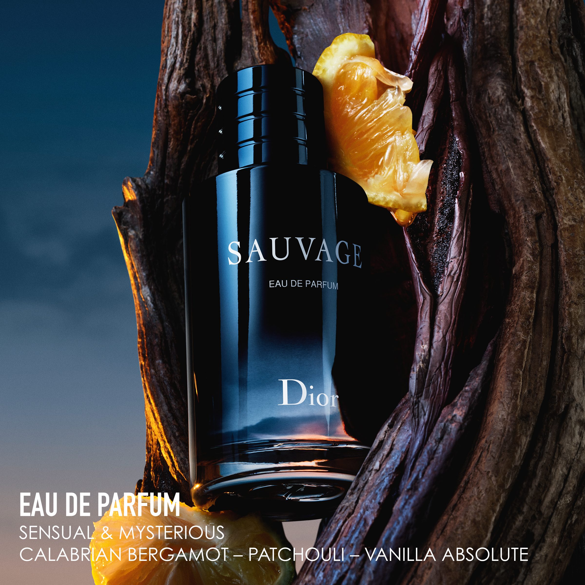 DIOR SAUVAGE Eau de Parfum (EdP)