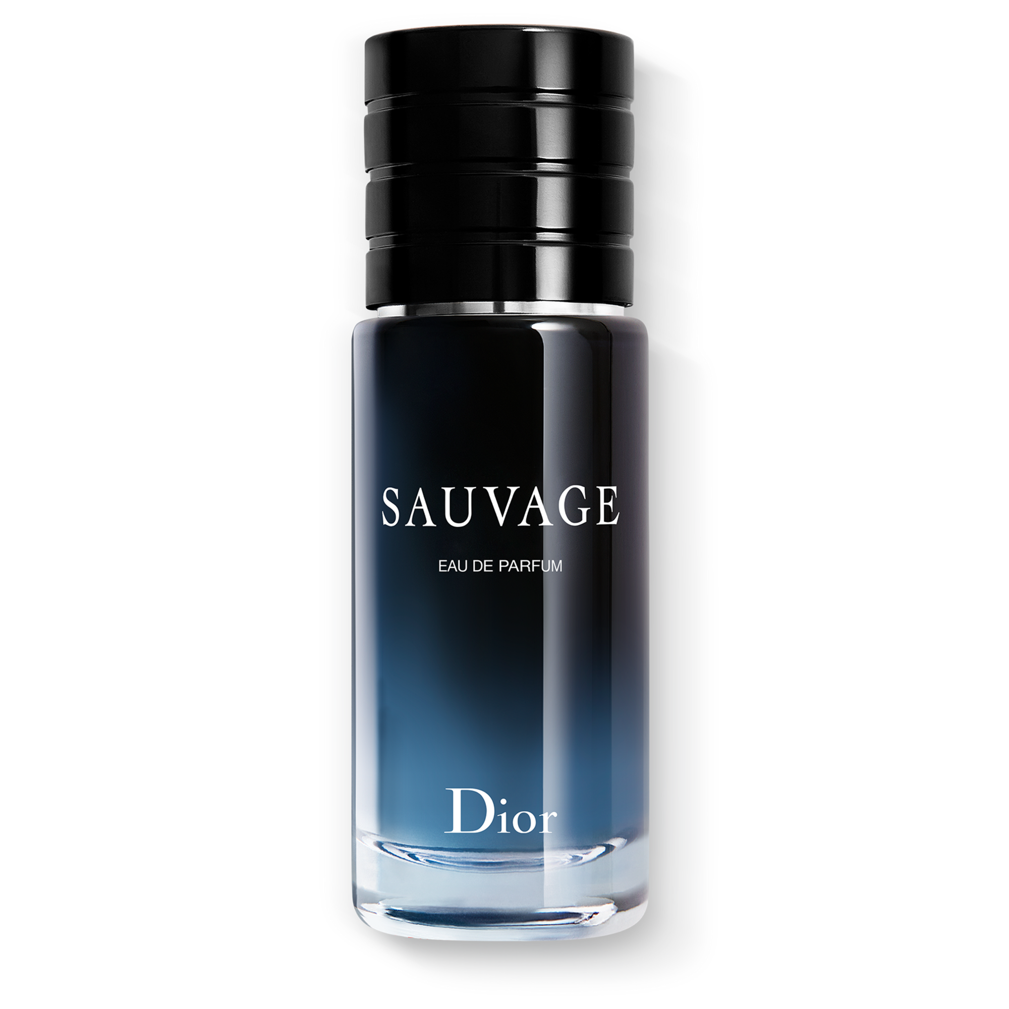 DIOR SAUVAGE Eau de Parfum (EdP)