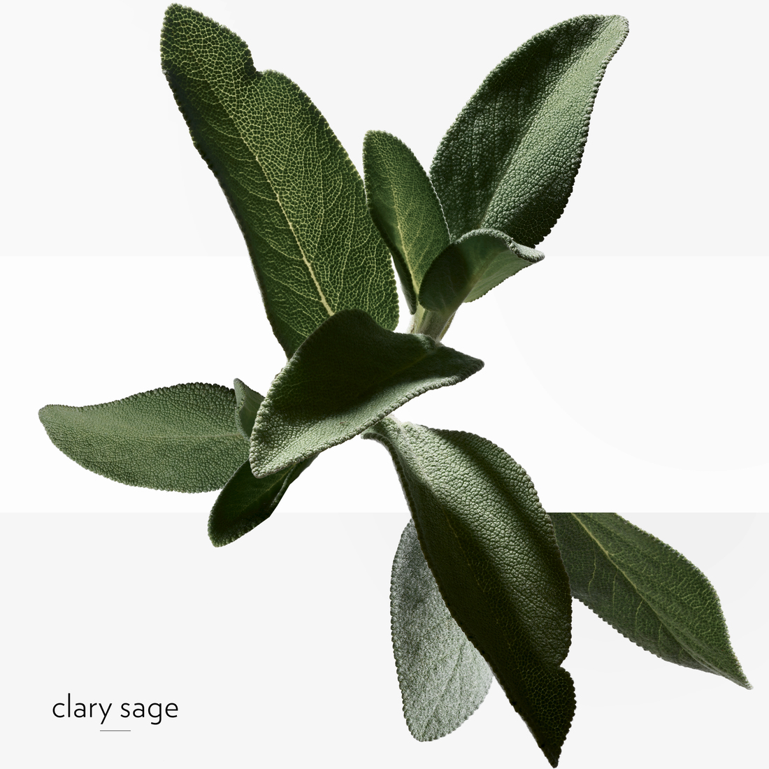 HERMÈS H24 EAU DE TOILETTE