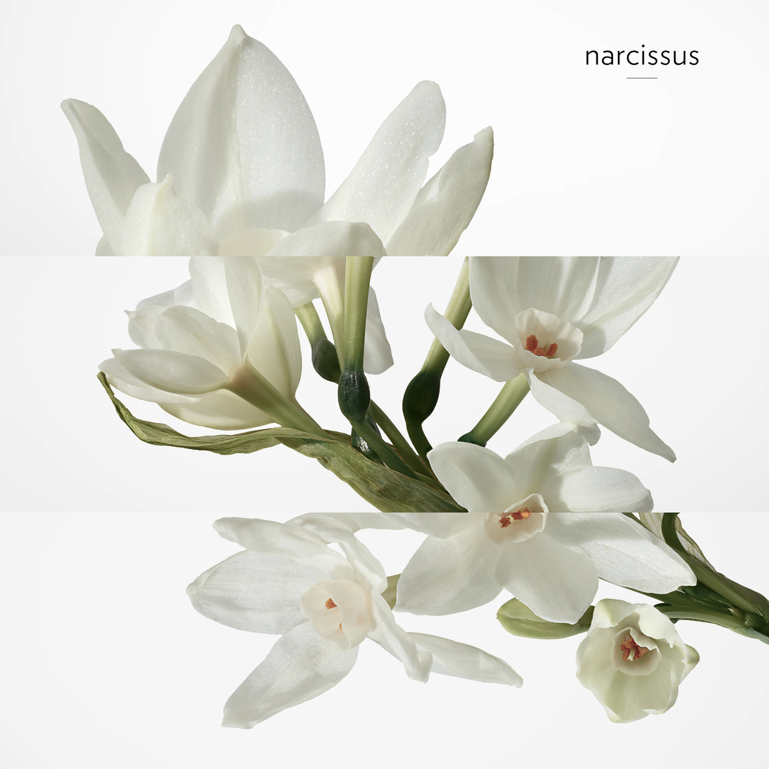 HERMÈS H24 EAU DE TOILETTE