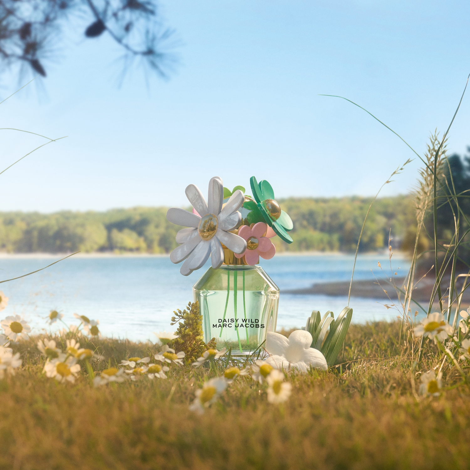 Marc Jacobs Daisy Wild Eau de Parfum (EdP) refillable Marc Jacobs Daisy Wild Eau de Parfum (EdP) refillable