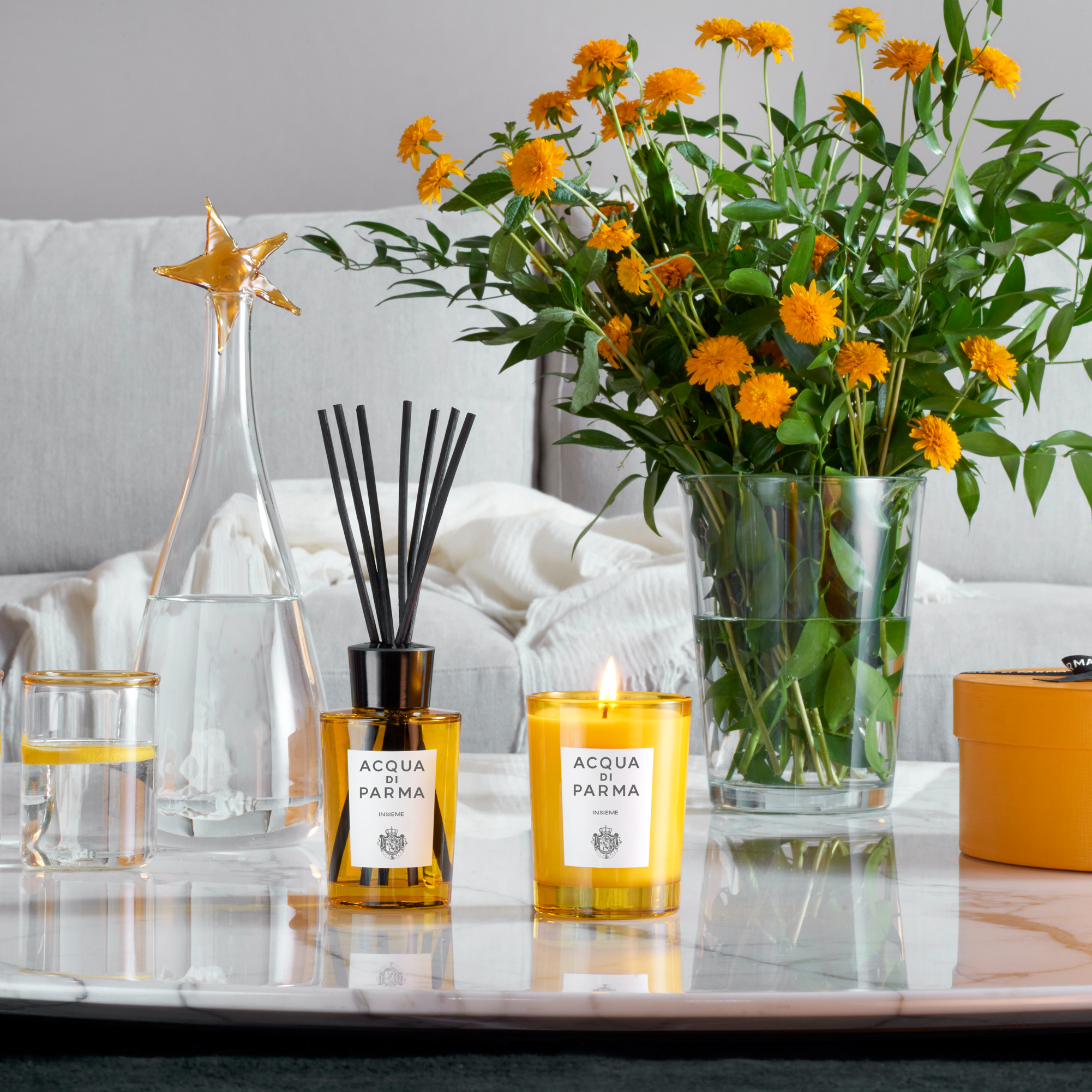 ACQUA DI PARMA INSIEME Room Diffuser ACQUA DI PARMA INSIEME Room Diffuser