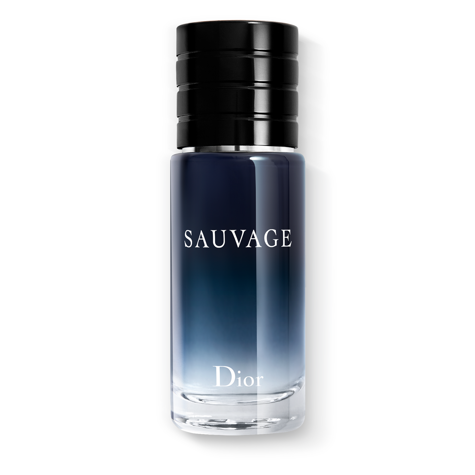 DIOR SAUVAGE Eau de Toilette (EdT)