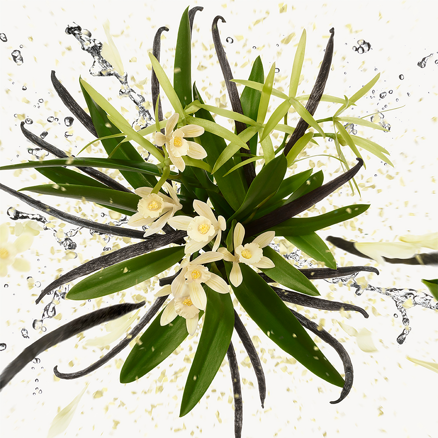 Gucci Flora Gorgeous Orchid Eau de Parfum (EdP)