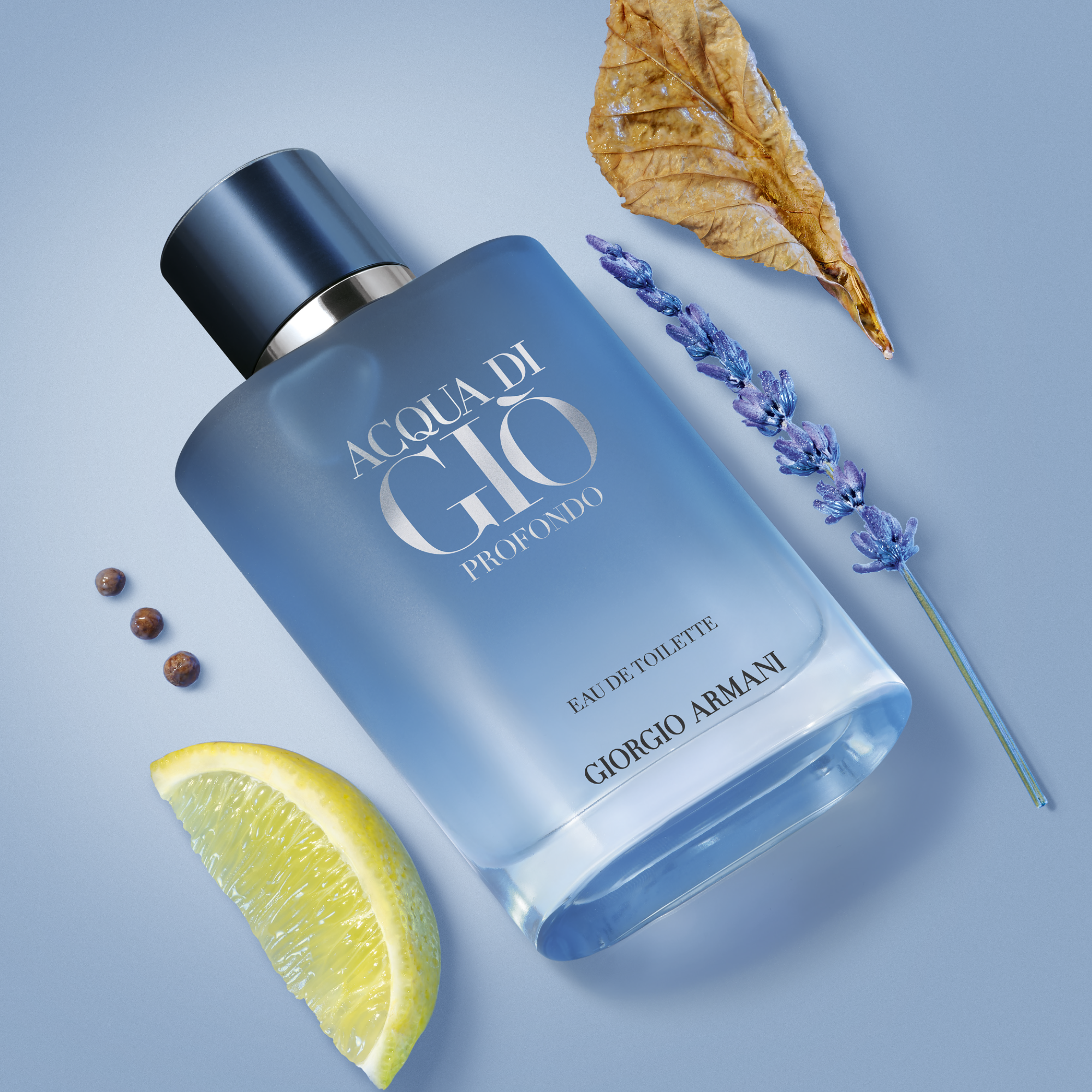 Armani Acqua di Giò Profondo Eau de Toilette (EdT)
